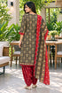 Brown Cotton Blend Printed Ready to Wear Patiala Salwar Suit